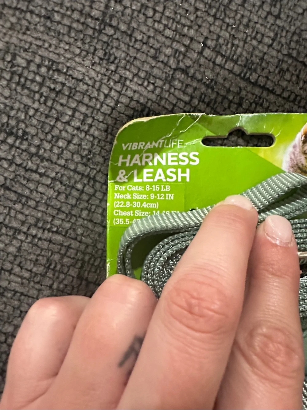 Vibrant Mint Green Cat Harness & Leash